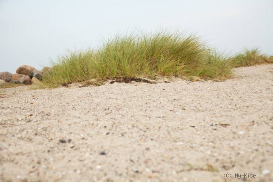 Kitesurfen und Windsurfen. an der Ostsee. Saaler Bodden, Insel R&uuml;gen, Wiek, Dar&szlig;, Rosengarten, Fehmarn, Pelzerhaken, Laboe