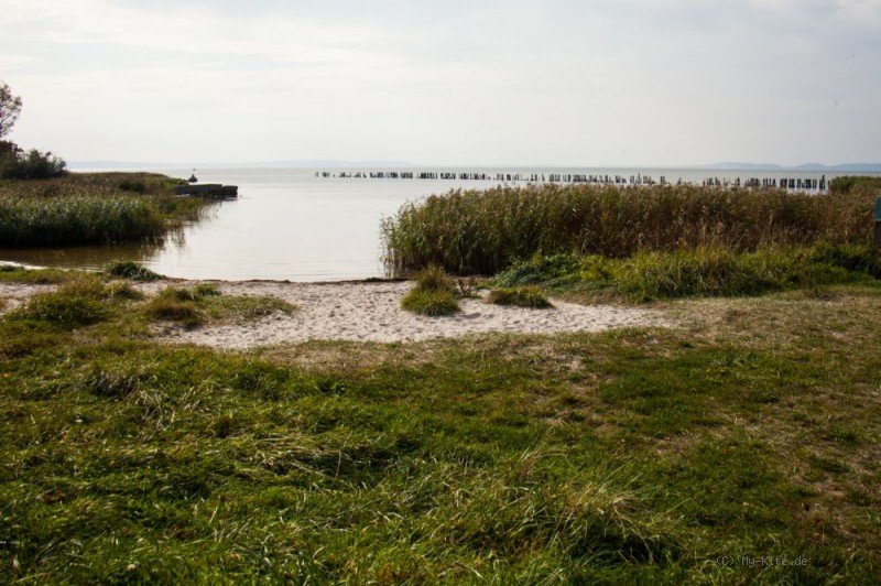 Bei Westwind bietet Polchow am Jasmunder Bodden gute Bedingungen. Großes Stehrevier und 